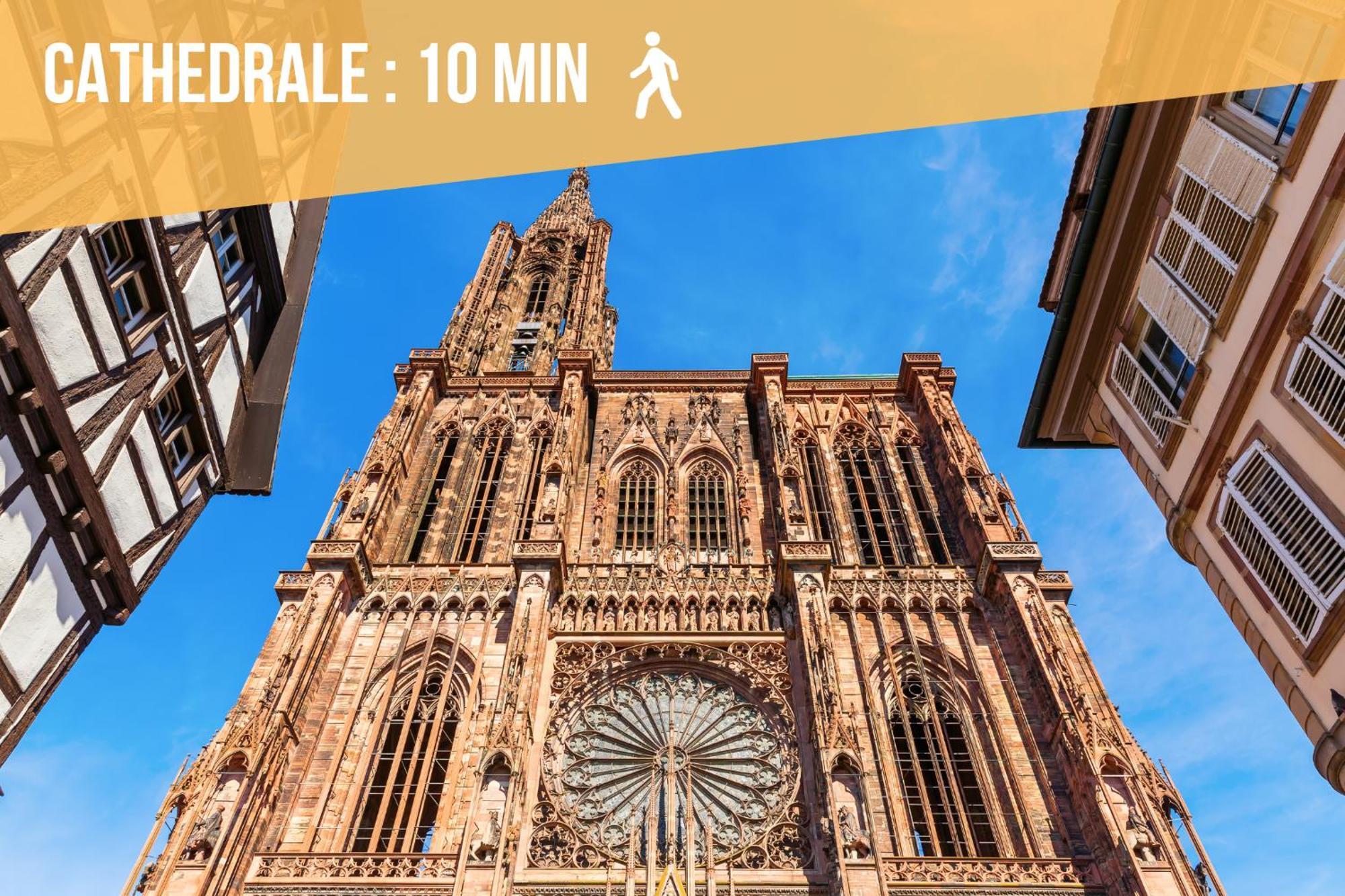 Lit Rond Tres Grand Et Confortable - Garage Possible Ou Parking Gratuit Rue - Gare 2 Min Et Ville 4 Min En Tram - Ciel Etoile - Netflix Videoprojecteur - Luxe Et Evasion Strasbourg Exteriör bild